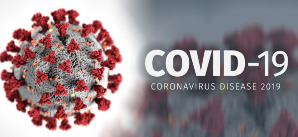 Coronavirus - Ideas for Business Website Owners